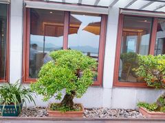 -湖畔居茶楼(湖滨店)