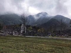 -千岛湖石林