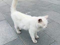 -北京鲁迅博物馆(北京新文化运动纪念馆鲁博馆区)