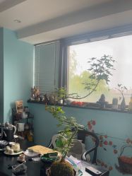 -斐尔国际皮肤管理中心