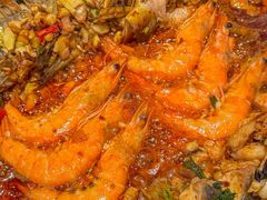 -黑猫馋纸包鱼(阳光店)