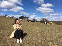 -塞罕坝国家级自然保护区