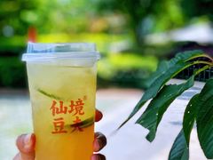 -仙境豆夫(步行街旗舰店)