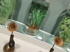 -中国湿地博物馆