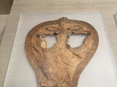 -中国农业博物馆