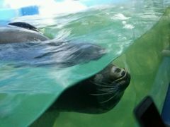 -多彩贵州城极地海洋世界