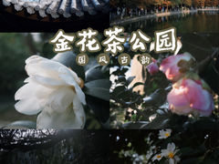 -金花茶公园