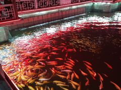 -长春市南湖公园