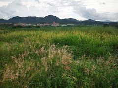 -光明小镇欢乐田园