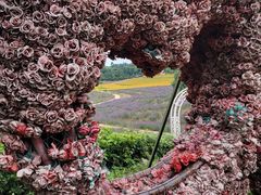 -紫颐香薰山谷景区