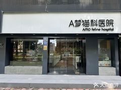 -御宝贝·A梦猫科宠物医院(国际猫友好医院)