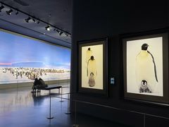 -罗红摄影艺术馆