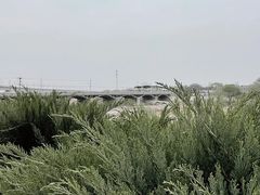 -绿堤公园
