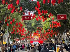 -越秀西湖花市(广州城市广场花卉店)