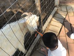 -迪茵湖田家舍生态农场