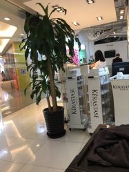 点击看大图 -ace hair salon top 无痕接发