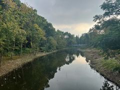 -昆山城市生态森林公园