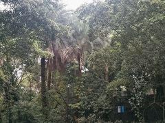 -广州市白云山风景名胜区
