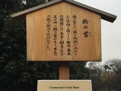 -名古屋城