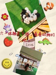 -萌宠亲子动物乐园(槐房万达店)