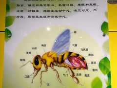 -上海昆虫博物馆