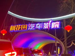 -枫花园汽车电影院(朝阳公园店)