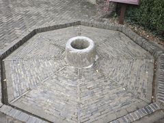 -上海佘山国家森林公园天马山园