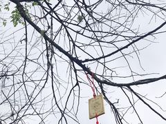 -硗碛藏寨·神木垒景区