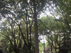 -玲珑塔公园