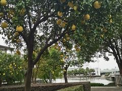 -晓风书屋(浙大紫金港店)