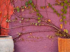 -海峡创意产业园