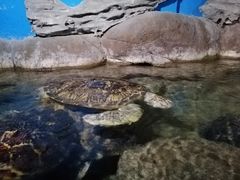 -厦门海底世界