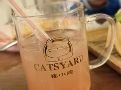 -猫小院猫主题餐厅(南锣旗舰店)