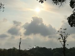 -东莞植物园