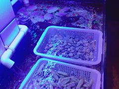 -路边摊小炉子烧烤