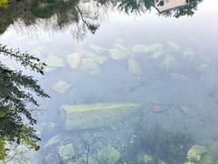 -南京老山国家森林公园