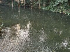 -广州兰圃