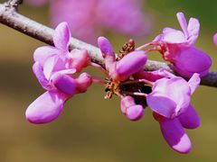 -九里河湿地公园