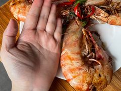 野生大斑节虾-凯华海鲜火锅·传承三十六年