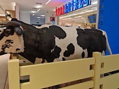 -红星前进面包牛奶公司(君太店)