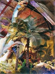 -恐龙探索乐园(磁器口店)