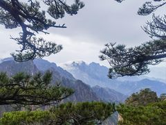 -黄山风景区