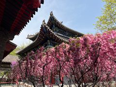 -碑林公园
