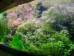 -上海海洋水族馆