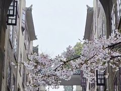 -武汉大学-樱园