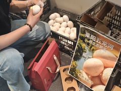 -单家老院·院子里的青岛菜(沙子口店)