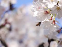 -永乐路-路侧停车场