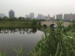-眉山湿地公园(东坡区)