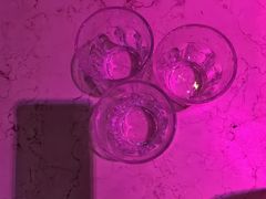 -自由港KTV(王子公主金平店)