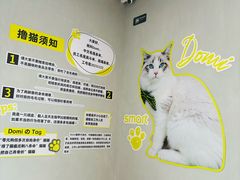 -上海浦东smart汽车全功能店(金桥店)